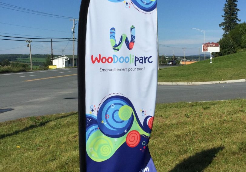 Windsail Flag Produced in China